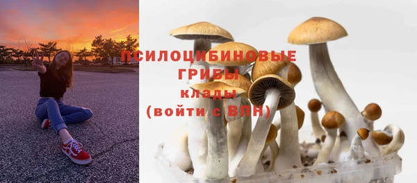 МДМА Богданович