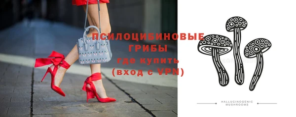 экстази Белокуриха