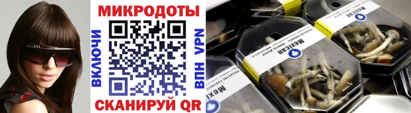 Псилоцибиновые грибы Magic Shrooms  как найти закладки  mega ССЫЛКА  Верхний Тагил 